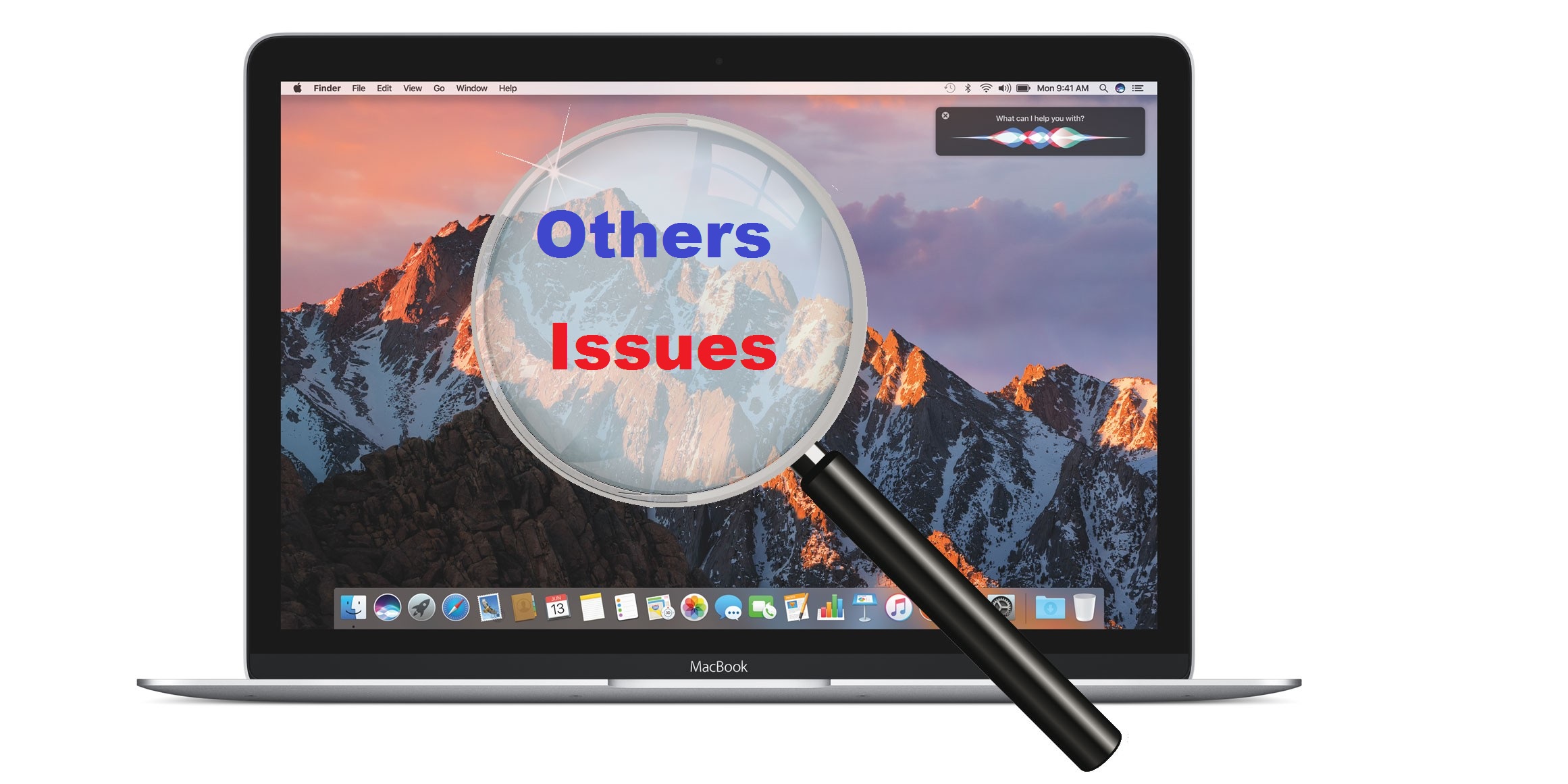Other Issues